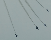 d0006323_12113148.jpg