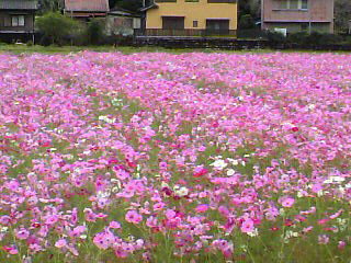 f0036223_13564468.jpg