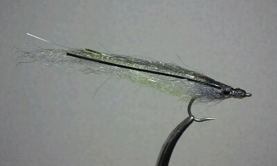 b0259124_154062.jpg