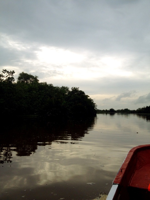 d0086526_2085819.jpg