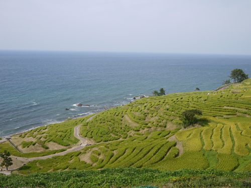 f0165831_22255439.jpg