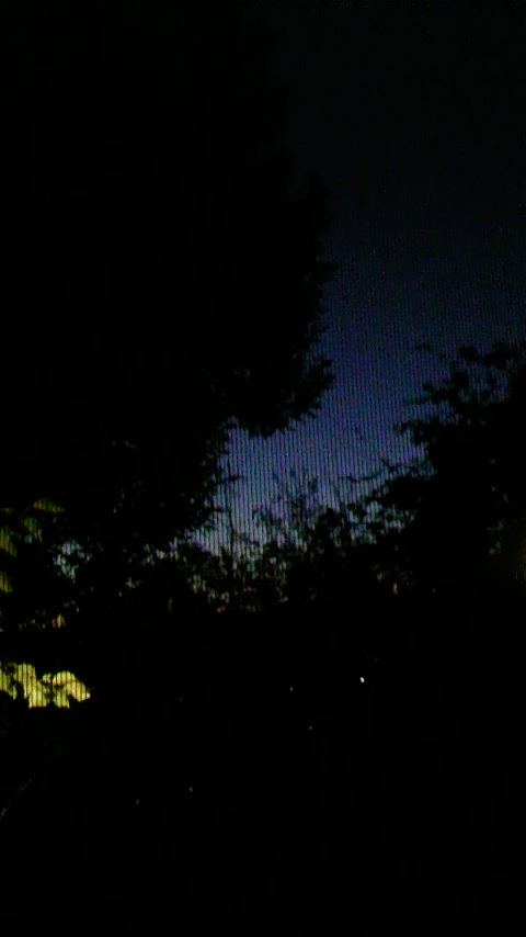 b0062335_18389.jpg