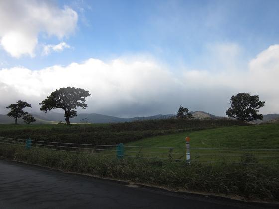 c0234938_1504328.jpg