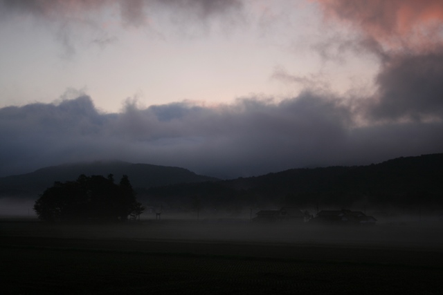 d0049138_87690.jpg