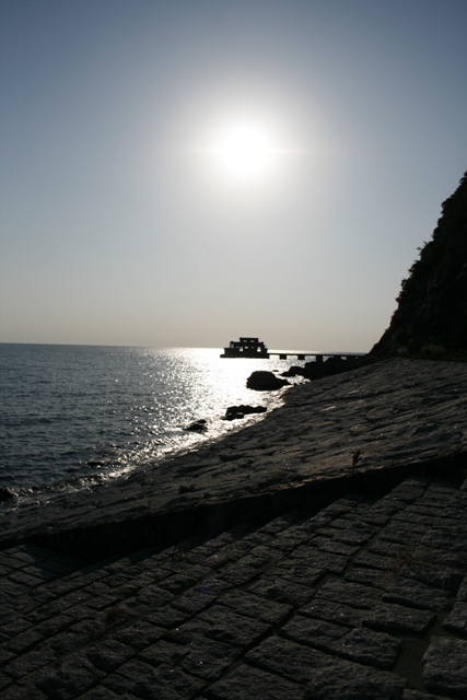 d0049138_891466.jpg