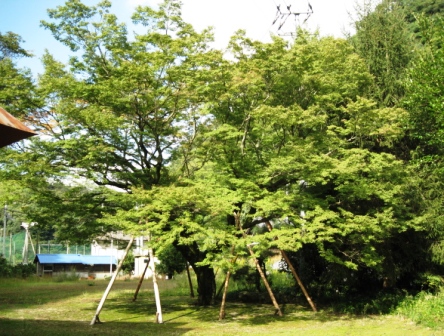 c0175339_19531153.jpg