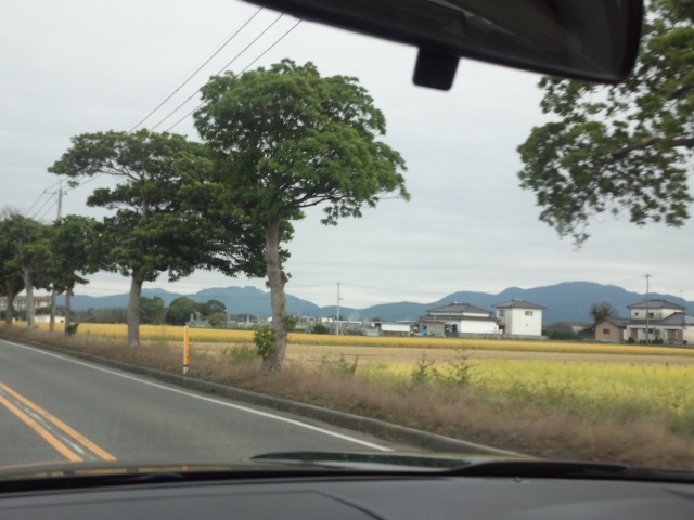 d0244839_013318.jpg