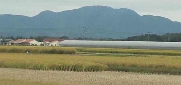 d0244839_0134399.jpg