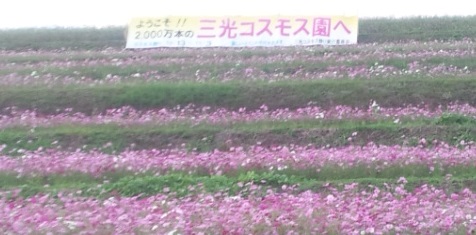 d0244839_01753.jpg