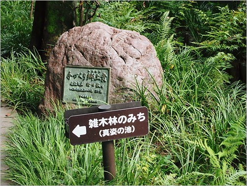 e0022839_2134356.jpg
