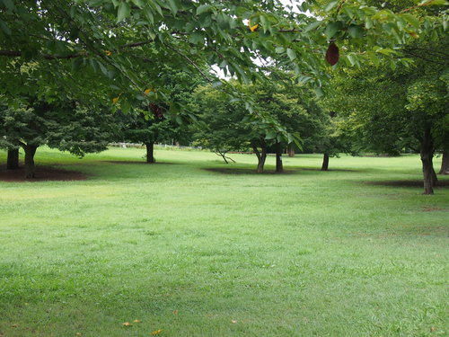 e0022839_216612.jpg