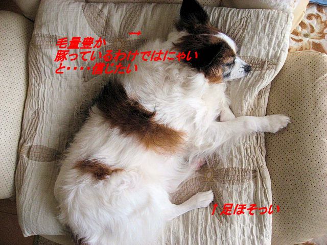 a0149240_11222138.jpg
