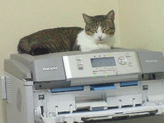 e0150849_21112058.jpg
