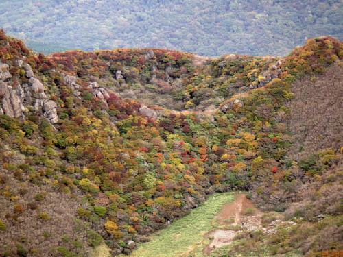 c0179351_1810897.jpg