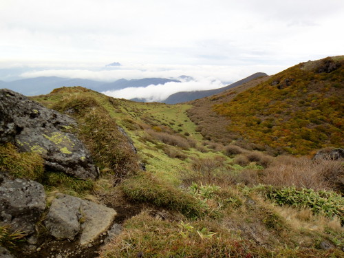 c0179351_18145182.jpg