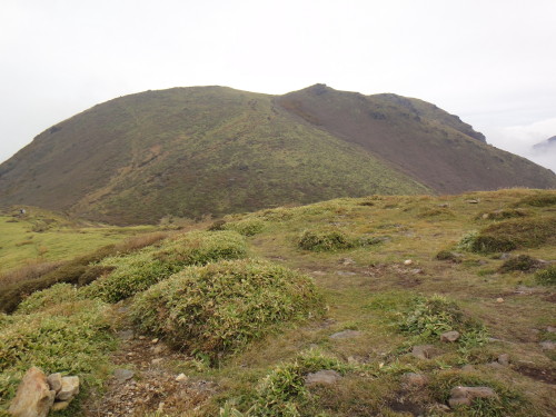 c0179351_188675.jpg