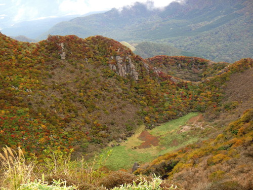 c0179351_1892944.jpg