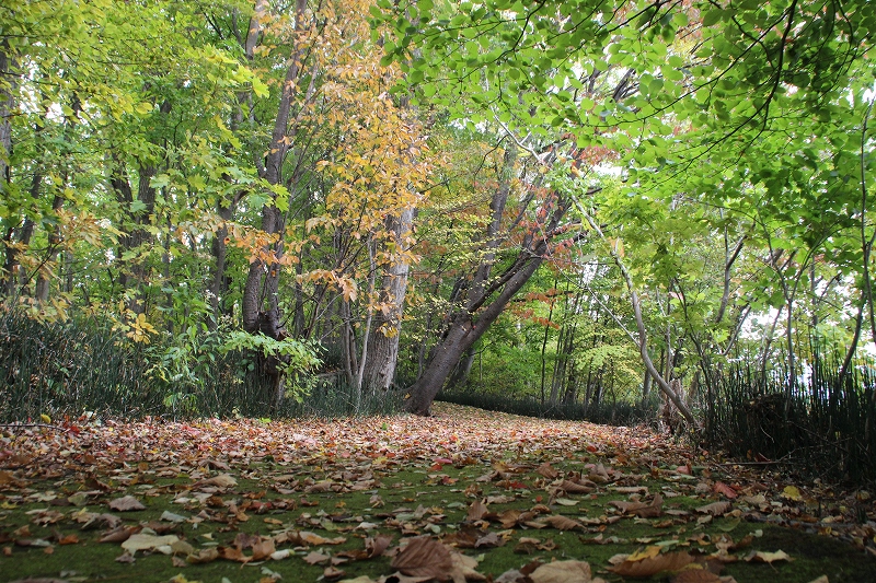 b0250154_22531647.jpg