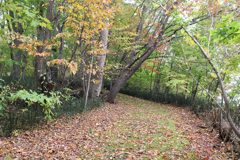 b0250154_2253284.jpg