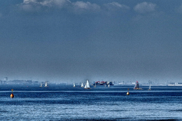 b0233456_20302686.jpg