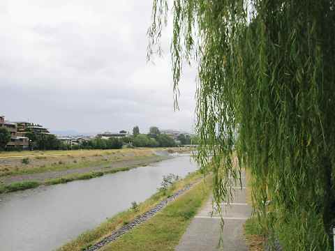 c0042960_15343541.jpg
