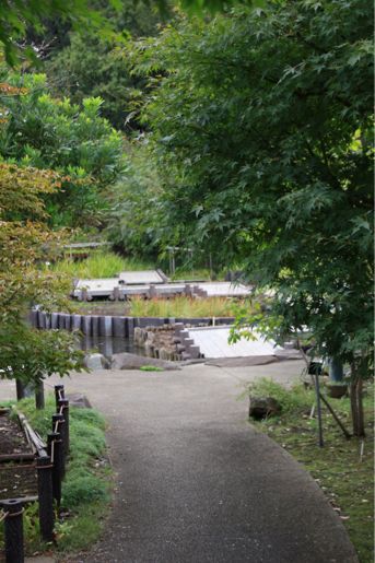 f0230961_1320781.jpg