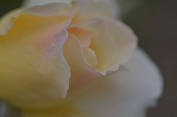 f0297861_2322557.jpg