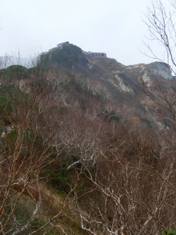 e0045768_21484362.jpg