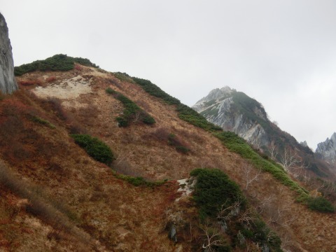 e0045768_21524626.jpg