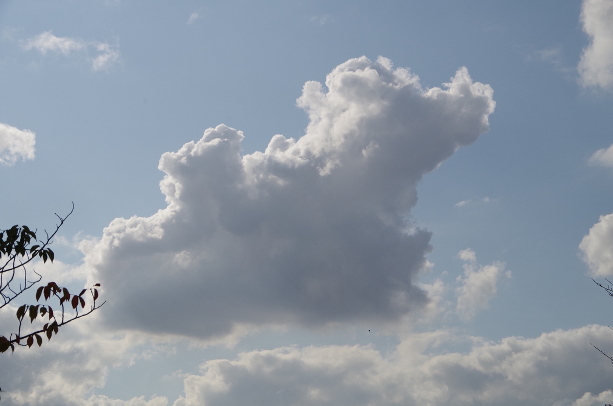 d0031171_19293659.jpg