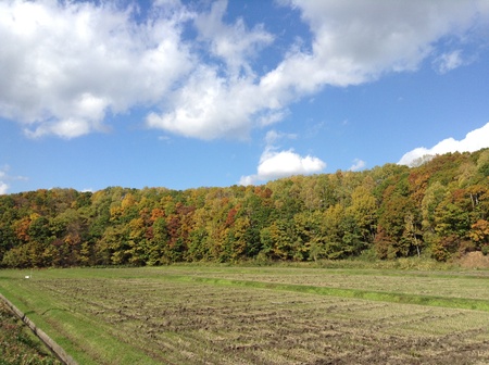 a0147373_7463978.jpg