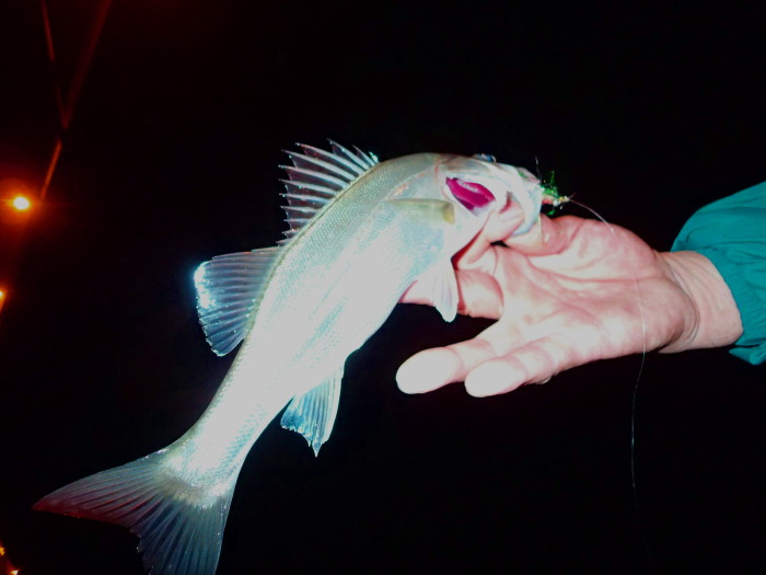 c0197578_1554043.jpg