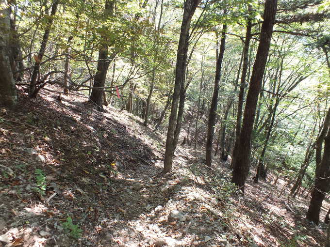 a0040879_22141979.jpg