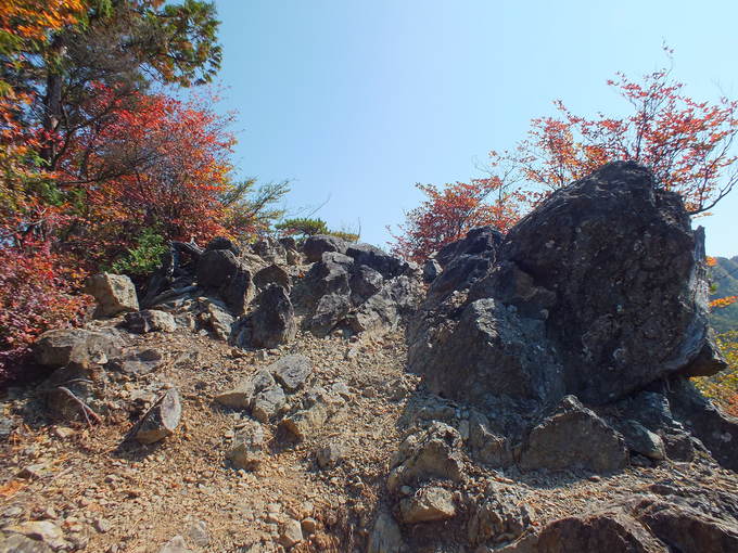 a0040879_23271286.jpg