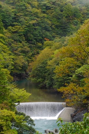 b0226089_192992.jpg