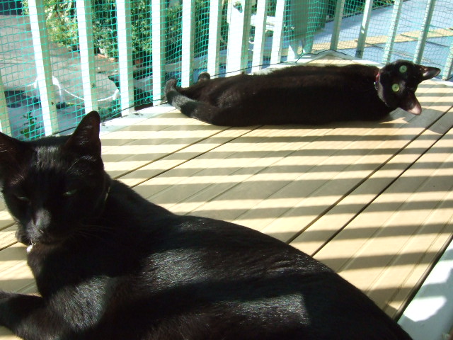 c0150193_1327249.jpg