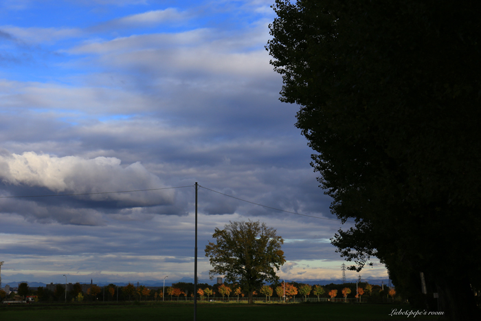 f0001895_19445578.jpg
