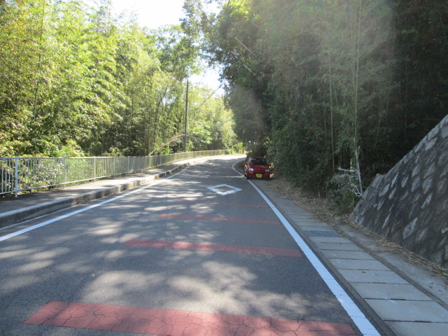 a0194797_015560.jpg