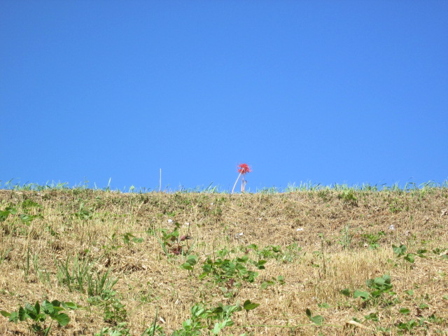 a0194797_03443.jpg