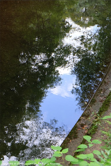 e0137705_12344613.jpg