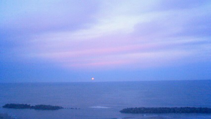 c0117007_2025921.jpg
