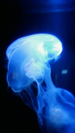 c0117007_2052296.jpg