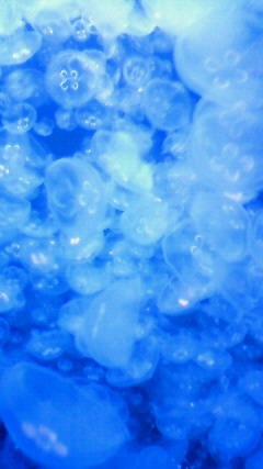 c0117007_2053589.jpg