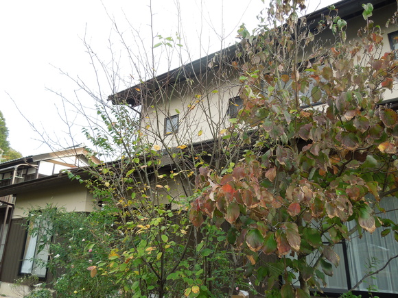 f0297809_20283945.jpg