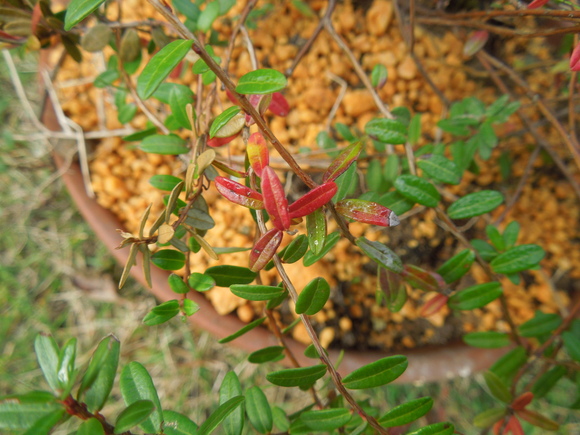 f0297809_20365770.jpg
