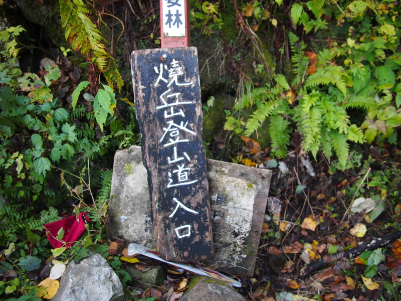 b0244811_20344090.jpg