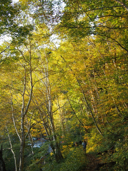 b0244811_20353281.jpg