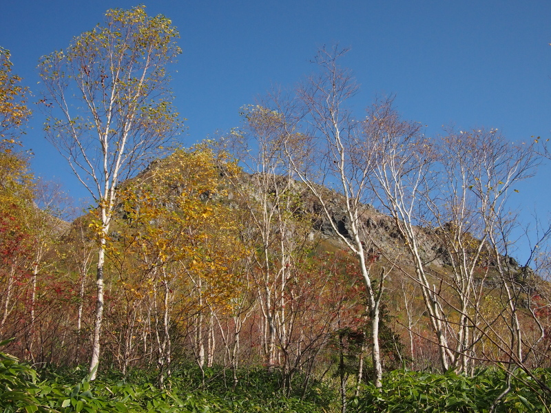 b0244811_20385429.jpg
