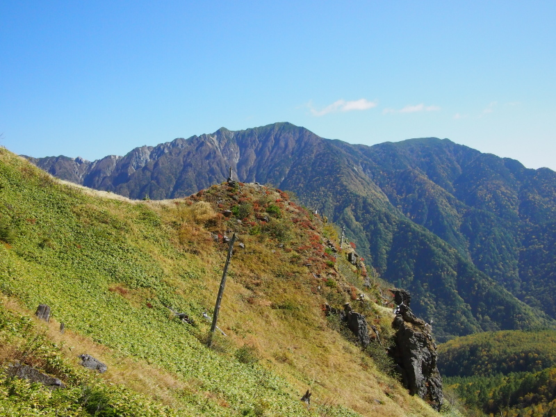 b0244811_21325850.jpg