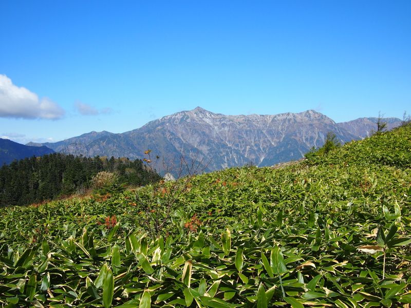 b0244811_21521624.jpg